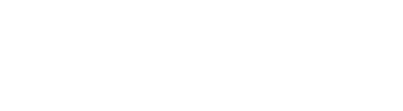 برند سارودی